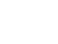 Amanda Fucking Palmer Online Store logo