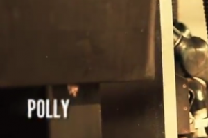 Polly Music Video