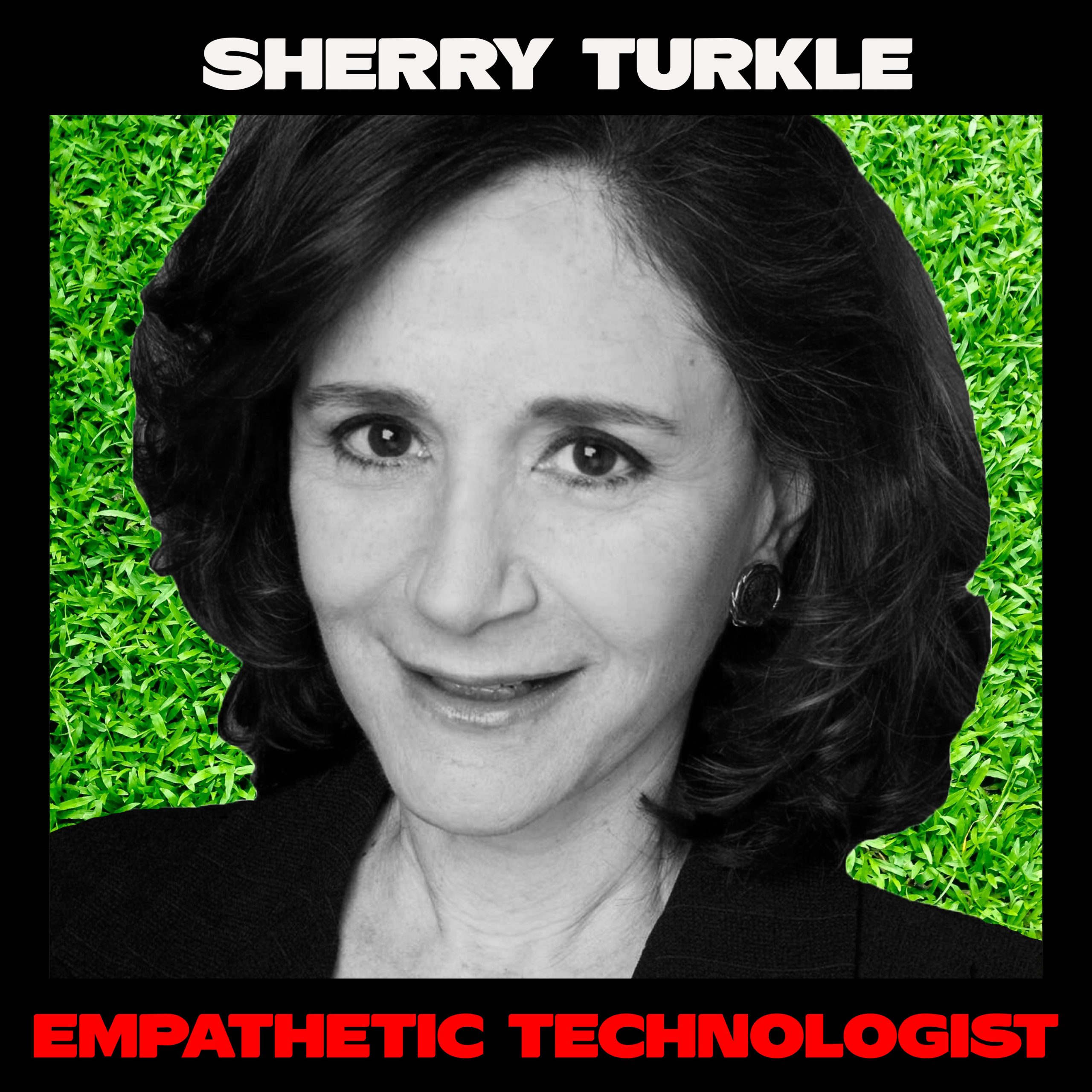 alone together sherry turkle chapter summary